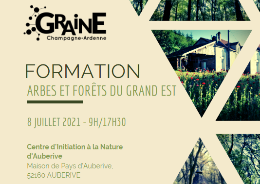 Formation « Arbres et forêts du Grand Est » – 08/07/2021
